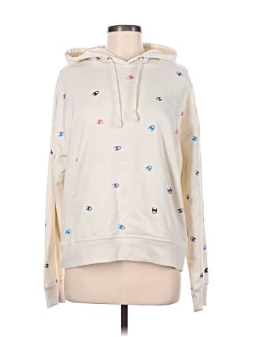 Champion Pullover Hoodie (view 1)