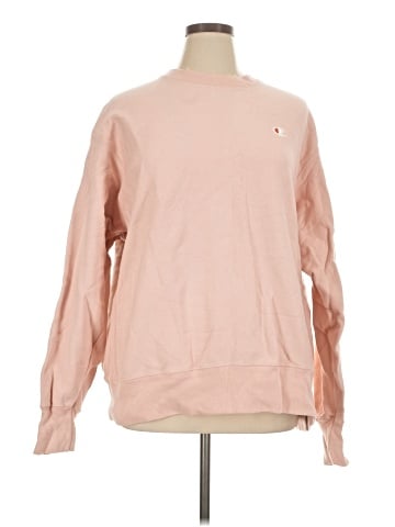 Champion Sweatshirt (view 1)