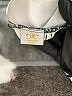 Assorted Brands White Short Sleeve Blouse Size 7 - photo 7