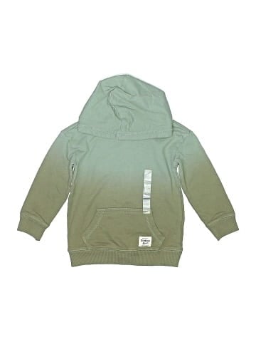 OshKosh B'gosh Pullover Hoodie (view 1)