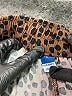 Old Navy Animal Print Brown Shorts Size L - photo 3