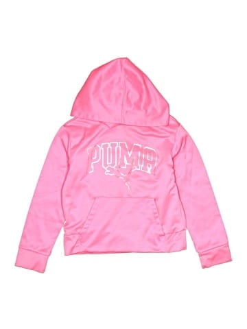 Puma Pullover Hoodie (view 1)