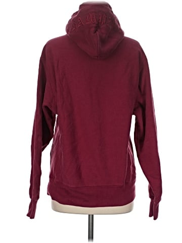 Champion Sweatshirt (view 2)