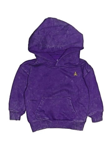 Baby Gap Pullover Hoodie (view 1)