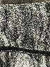 KIRKLAND Signature Print Silver Active Pants Size S - photo 8