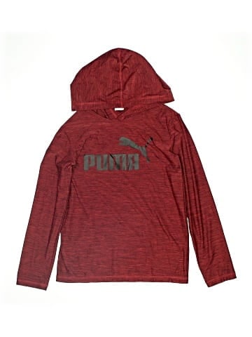 Puma Pullover Hoodie (view 1)