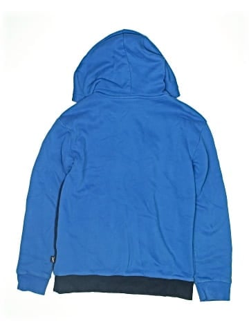 Puma Pullover Hoodie (view 2)