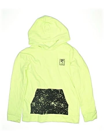 Puma Pullover Hoodie (view 1)