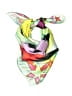 Parade Graphic Stars Green Scarf One size - photo 1