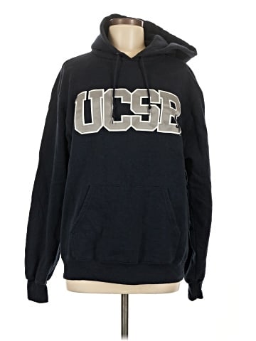 Champion Pullover Hoodie (view 1)