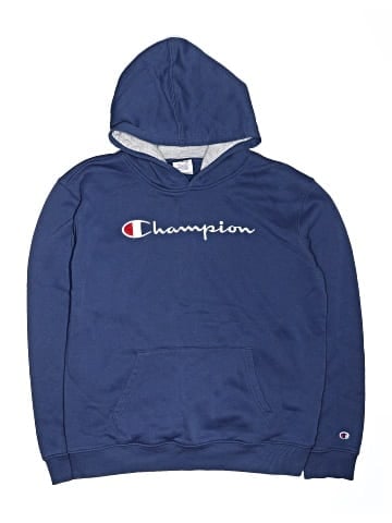 Champion Pullover Hoodie (view 1)