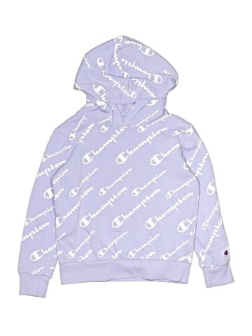 Champion Pullover Hoodie (view 1)