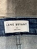 Lane Bryant Blue Jeans Size 16 Plus (2) - photo 4