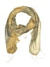 Unbranded Yellow Scarf One size - photo 1