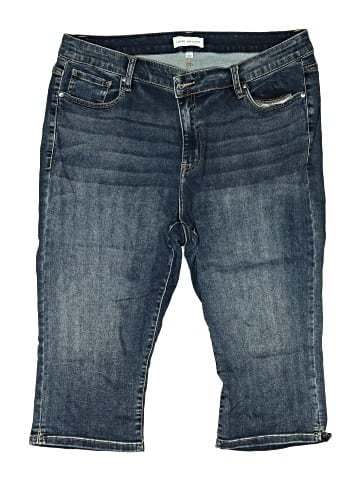 Lane Bryant Denim Shorts (view 1)