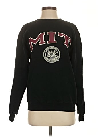 Champion Sweatshirt (view 1)