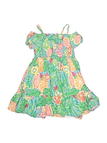 C&C California Dress (view 1)