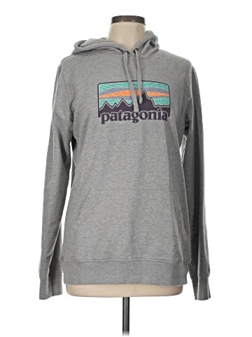Patagonia Pullover Hoodie (view 1)