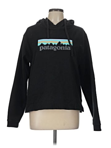 Patagonia Pullover Hoodie (view 1)