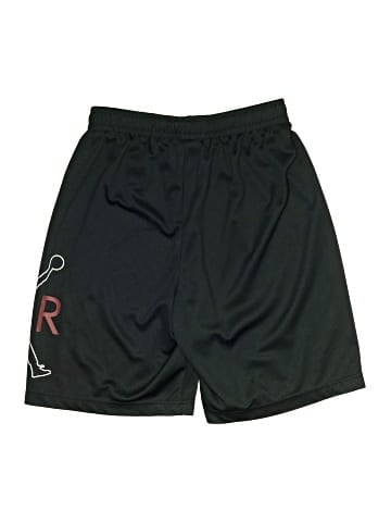 Air Jordan Athletic Shorts (view 2)