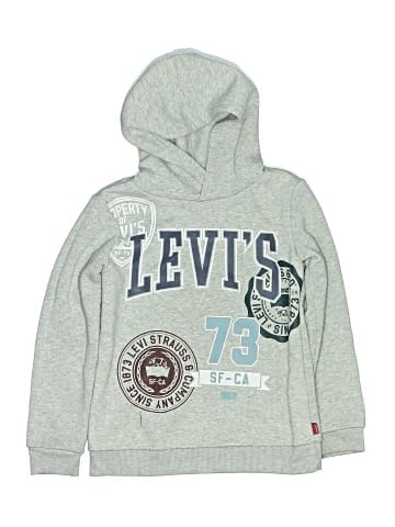 Levi's Pullover Hoodie (view 1)