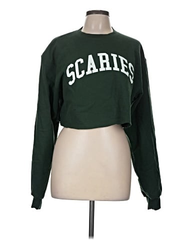 Champion Sweatshirt (view 1)