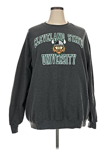 Champion Sweatshirt (view 1)