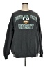 Champion Gray Sweatshirt Size 3XL - photo 1