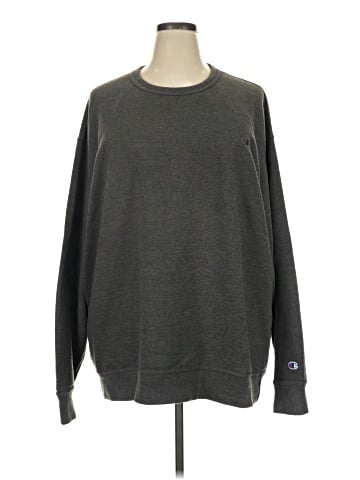 Champion Sweatshirt (view 1)