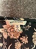 Max Studio 100% Polyester Paisley Black Casual Skirt Size M - photo 4