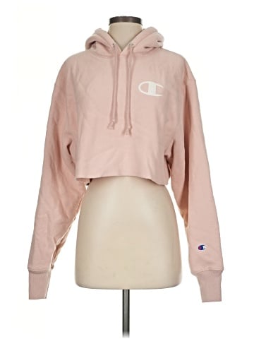 Champion Pullover Hoodie (view 1)