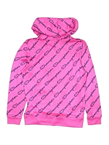 Champion Pullover Hoodie (view 2)