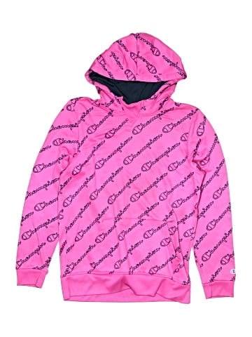 Champion Pullover Hoodie (view 1)