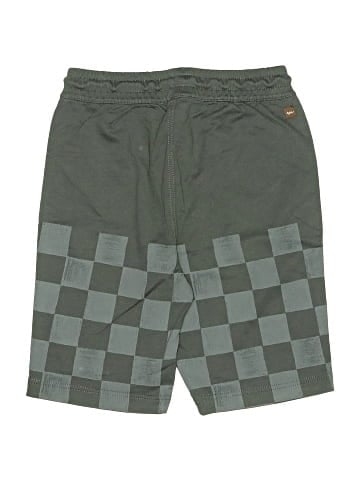 Tea Board Shorts (view 2)