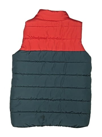 Puma Vest (view 2)