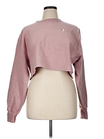 Champion Sweatshirt (view 1)