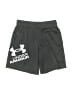 Under Armour Gray Athletic Shorts Size 5 - photo 1