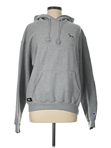 Champion Pullover Hoodie (view 1)