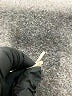 C9 By Champion Camo Green Active Pants Size S - photo 8