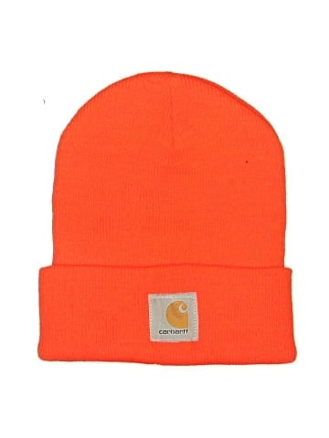 Carhartt Beanie (view 1)