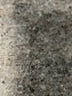 Gianni Bini White Cocktail Dress Size 8 - photo 7