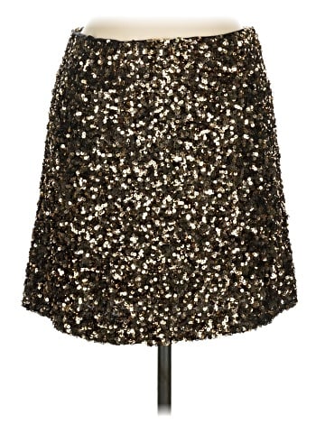 Zara Formal Skirt (view 1)
