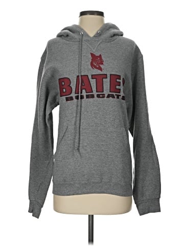 Russell Athletic Pullover Hoodie (view 1)