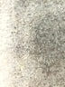 Lululemon Athletica Animal Print Gray Active Pants Size 6 - photo 7