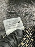 Elan 100% Polyester Metallic Gold Long Sleeve Blouse Size M - photo 9