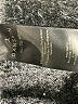 Danskin Black Active Pants Size XL - photo 5