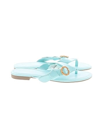 Talbots Flip Flops (view 1)