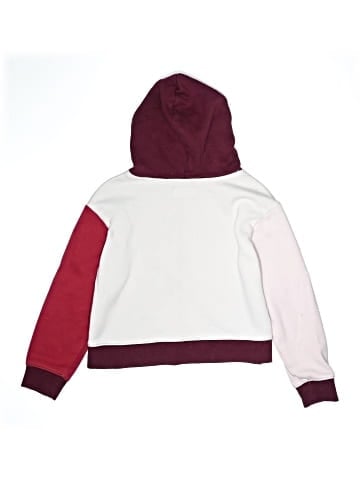 Air Jordan Pullover Hoodie (view 2)
