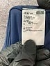 Uniqlo Solid Blue Active Pants Size S - photo 8