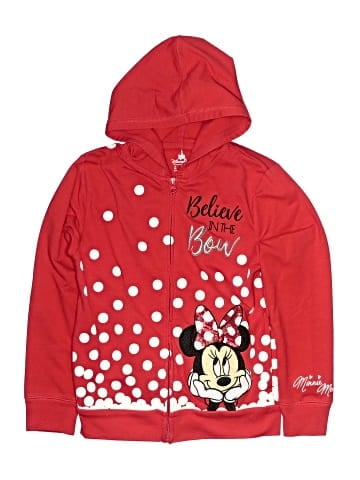 Disney Parks Pullover Hoodie (view 1)